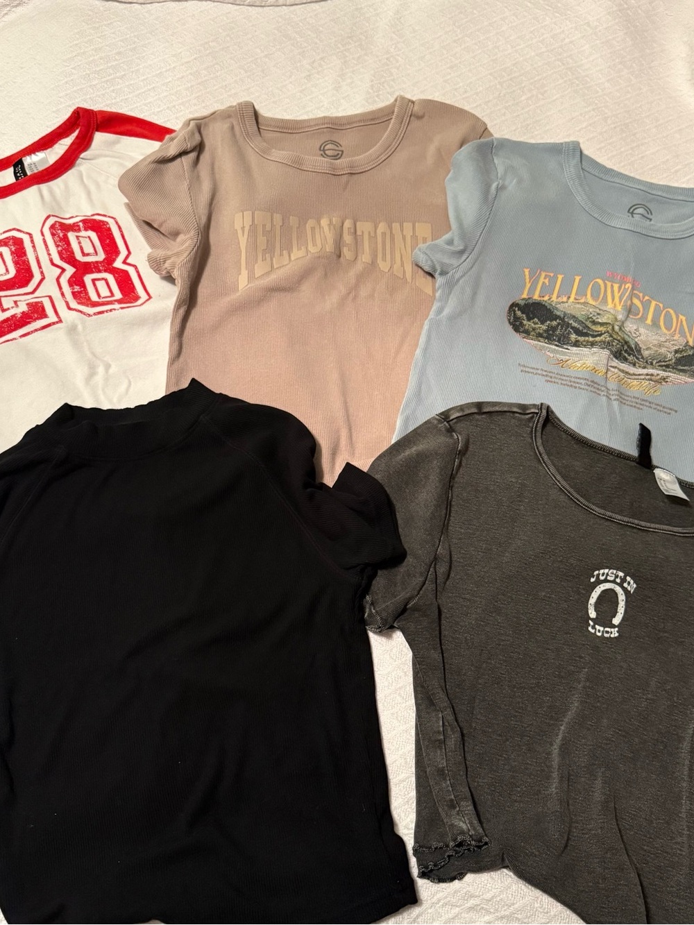 Crop Tees bundle of 5! Size M